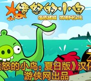 愤怒的小鸟猪之夏日海洋版免安装中文绿色版